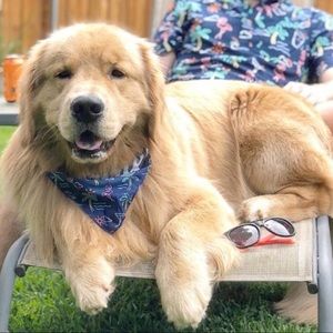 Meet your Posher, Austin